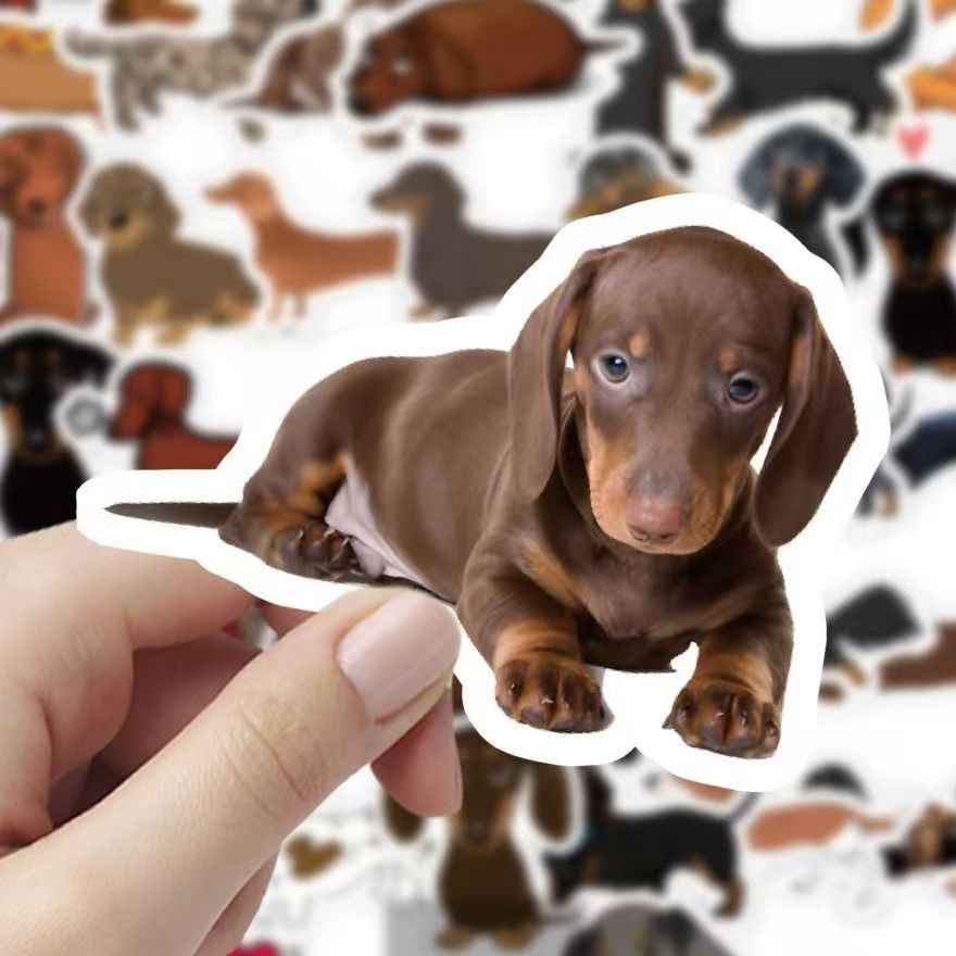 Dachshund Dog 60-Piece Sticker Pack | Cute Dog Designs, DIY Crafting, Journal, Laptop, Water Bottle, Scrapbooking, Reusable, Waterproof PVC